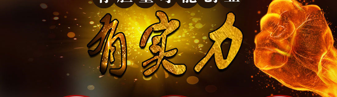 ˫