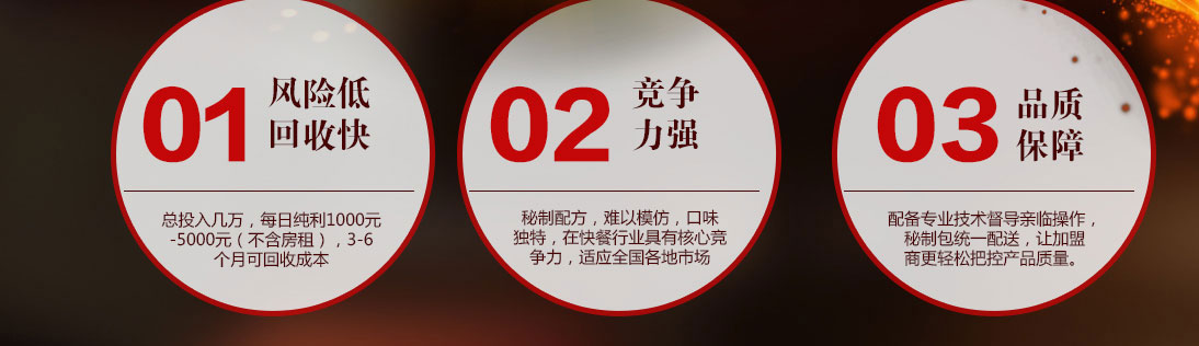 ˫