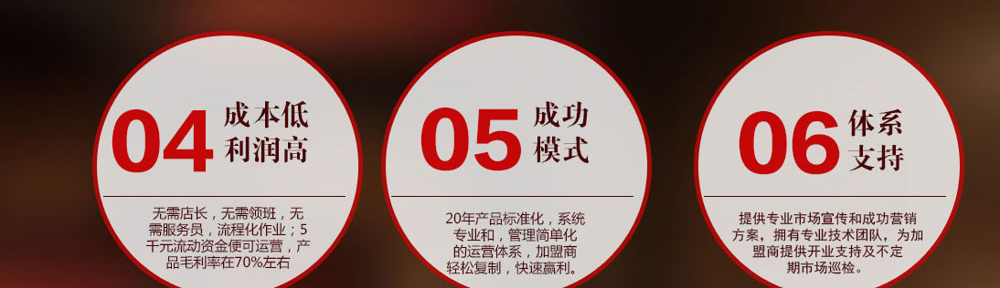 ˫